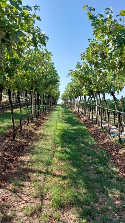 Azienda Agrituristica Corteforte Фумане Экстерьер фото