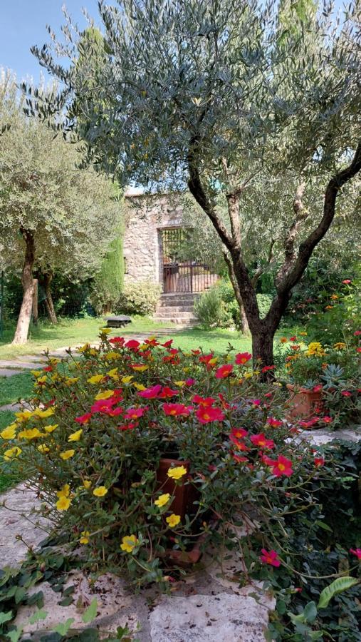 Azienda Agrituristica Corteforte Фумане Экстерьер фото